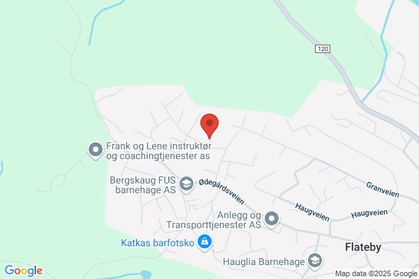 Autofokus