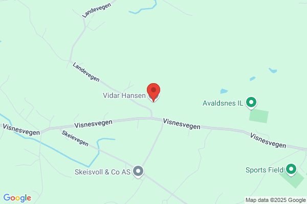 Hansen Vidar As