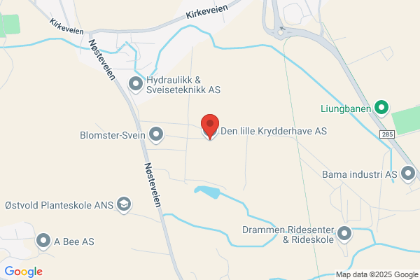 Klemetsen Svein