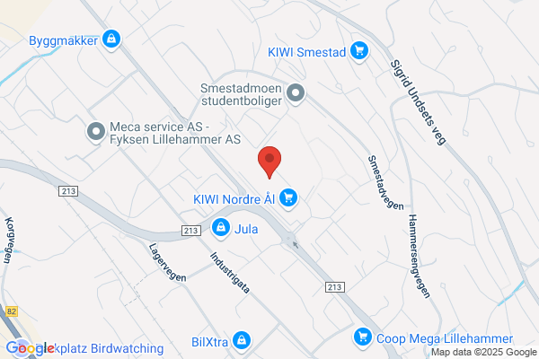 Eidsiva Energi As