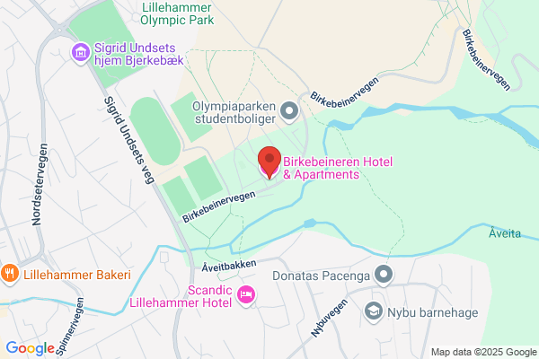 Birkebeineren Hotel/motel & Apartments