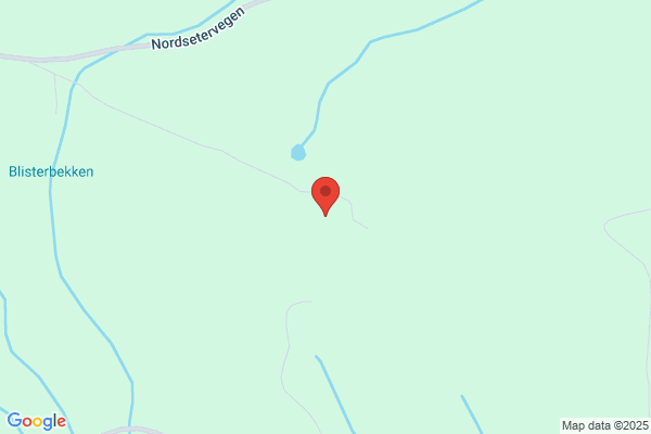Dagsveen K Og O