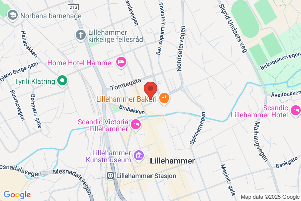 Brillehjørnet Synsam As