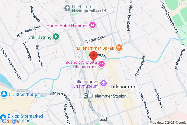 Egon Lillehammer As