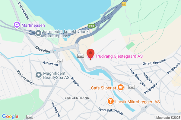 Trudvang Finn
