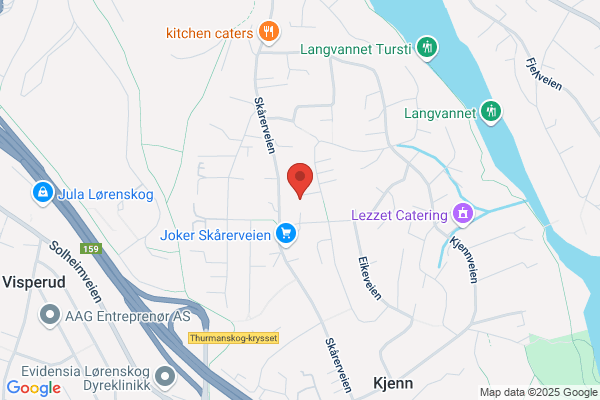 Electrocompaniet As