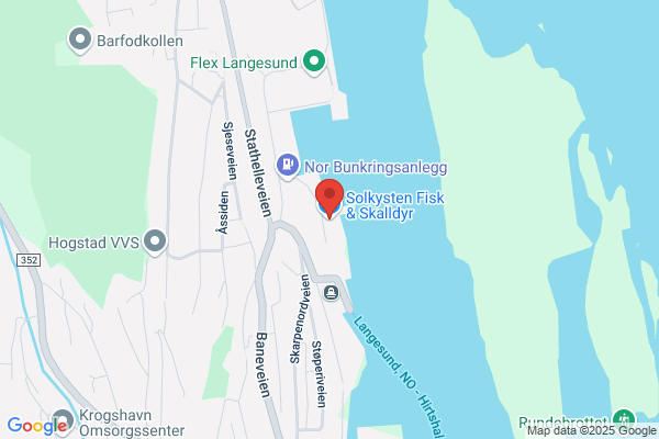 Langesundfisk A/s