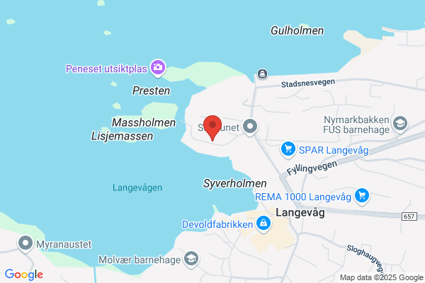 Holen Kjartan Murerfirma As