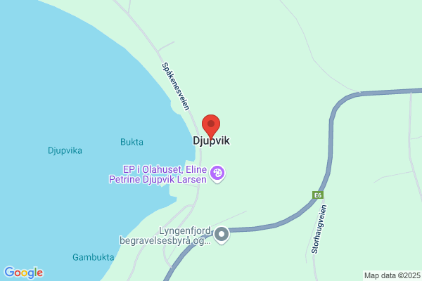 Djupvik A/s