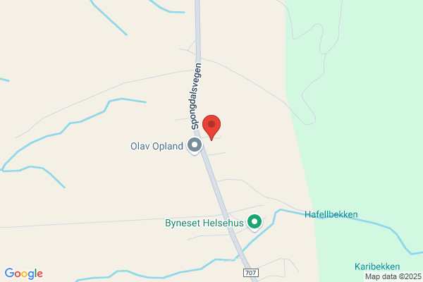 Nord Tjenester