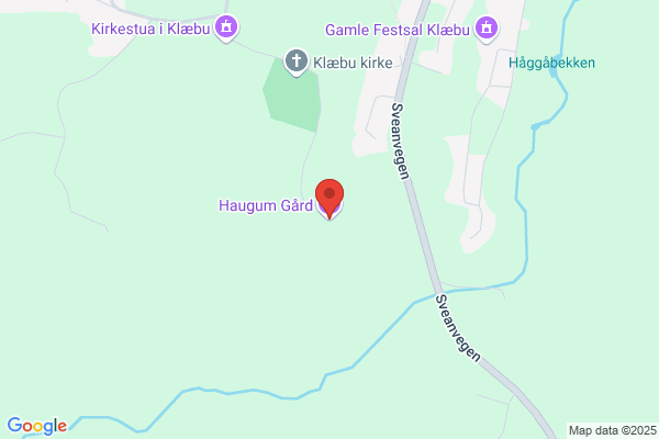 Haugum Maskin A/s