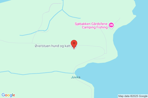 Øverstuen Hundepensjonat
