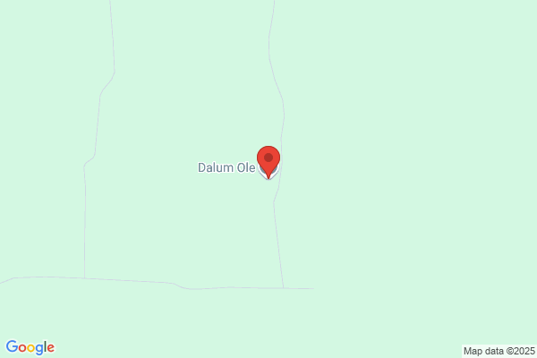 Dalum Ole Bjørn