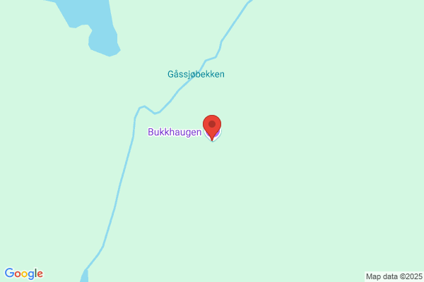 Buhaug Øystein E