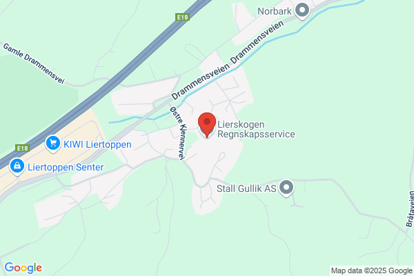 Lierskogen Regnskapsservice Birte Øen