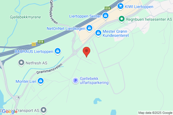 Norsk Bilomsetning A/s