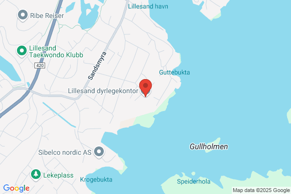 Storgata Dyrlegekontor