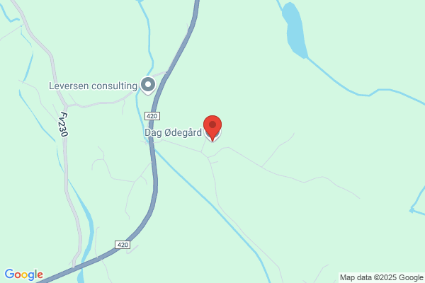Ødegård Dag