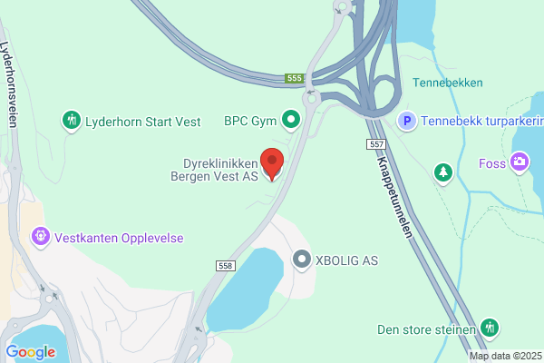 Dyreklinikken Bergen Vest As
