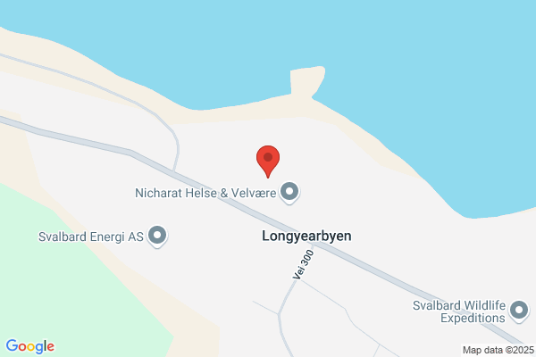 Store Norske Spitsbergen Kulkompani A/s