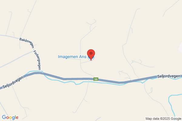 Imagemen Ans