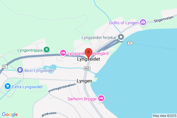 Aetat Lyngseidet