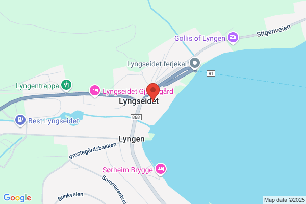 Lyngsdata As
