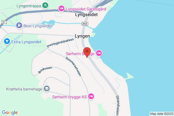 Lyngseidet Gjestegård AS