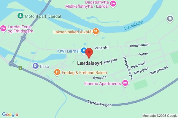Tannhelsetenesta, Den Offentlege