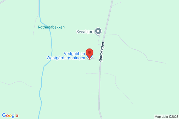 Vedgubben Westgårdsrønningen