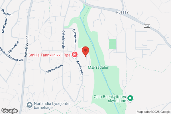 Haugens Lakkeringsverksted