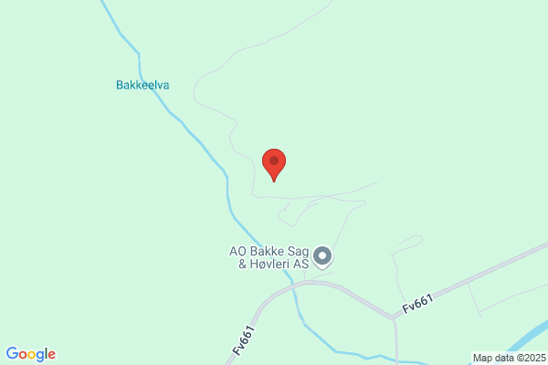 Bakke Erling