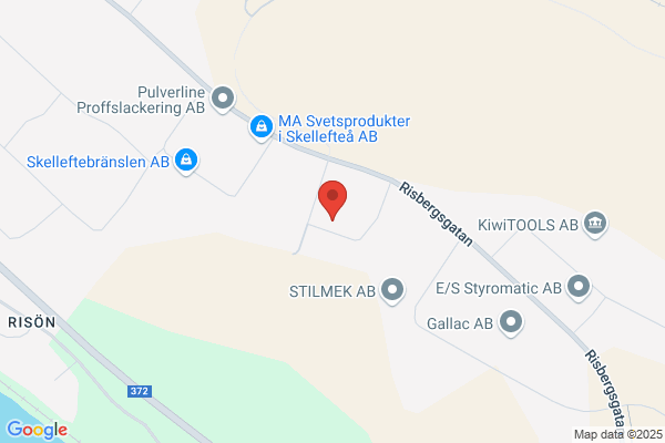 Lestanders M S B