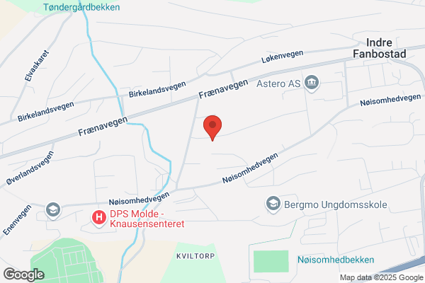 Fagelektronikk As