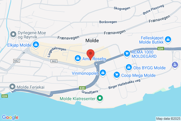 Veskegalleriet Lærmo As