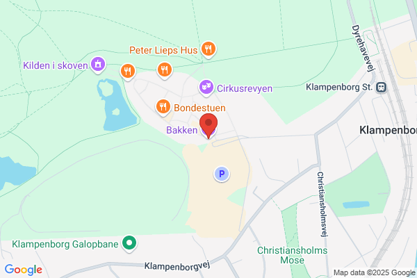 Bakken Solrun