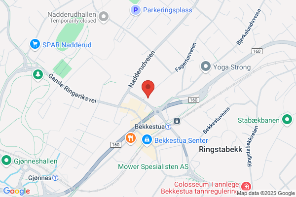 Grobstok Hans T
