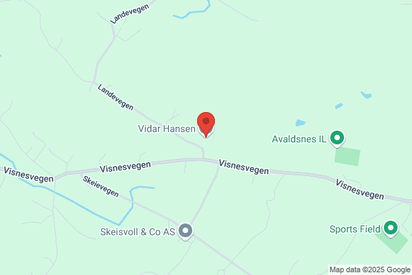 Hansen Vidar
