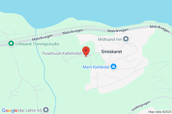 Torp Kennel Og Dyrepensjonat