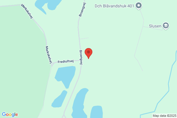 Vestkystservice