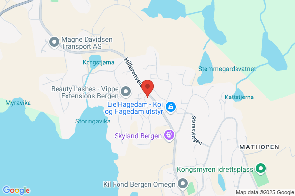 Bergen Bygg Og Entreprenørservice As