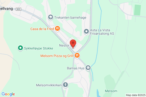 Norsk Pensjonistskole, Stiftelsen