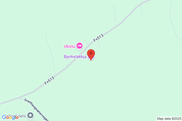 Bjerkedokk John
