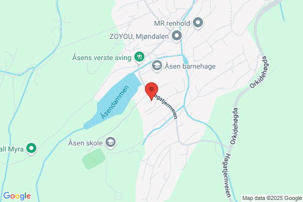 Åsen Anlegg As