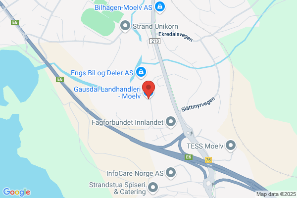 Hägglunds Moelv As