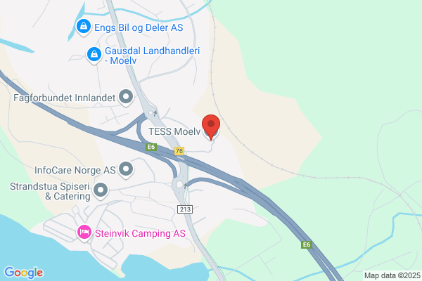 Storsletten Terje