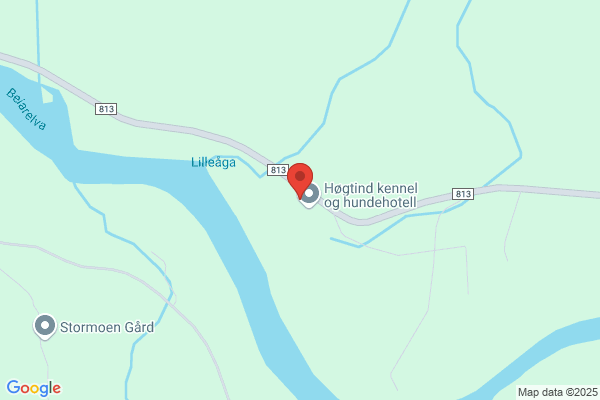 Hundekjøreverkstedet As