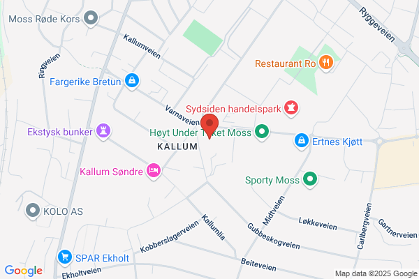 Varnaveien Bilpleie Og Service