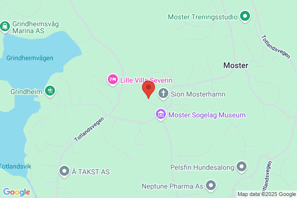 Moster Taxi