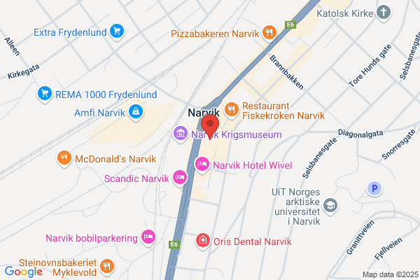 Narvik Megler'n As